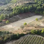 Georgia's * Kondóstavlos