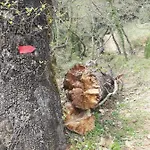 Georgia's בית נופש *