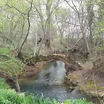 Georgia's