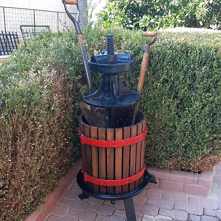 Georgia's Kondostavlos