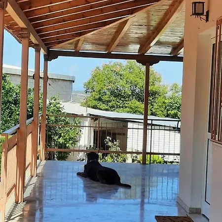 Georgia's Kondostavlos