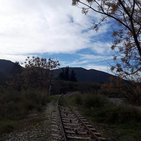 Georgia's Kondostavlos