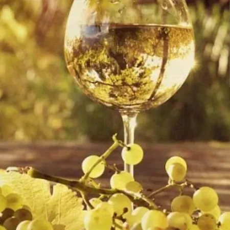 Georgia's * Kondostavlos