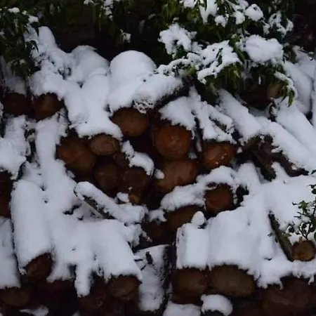 Vakantiehuis Georgia's