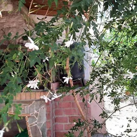 Holiday home Georgia's