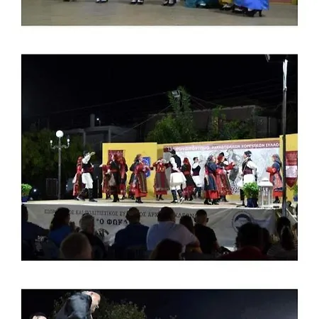 Georgia's Kondostavlos