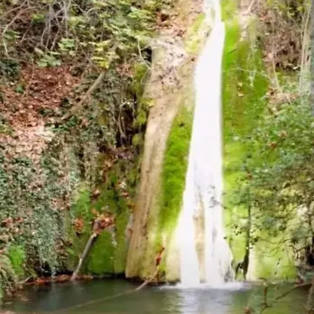 Сasa de vacaciones Georgia's *