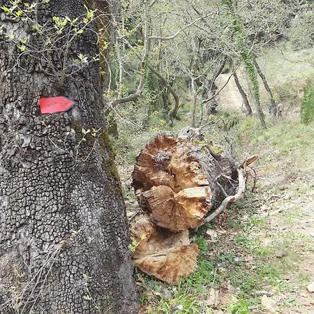 Georgia's Сasa de vacaciones *