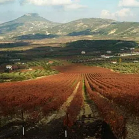 Vakantiehuis Georgia's