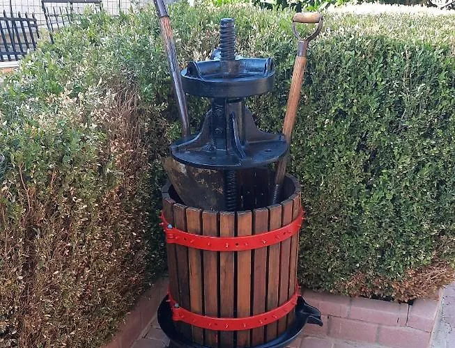 Georgia's Kondostavlos