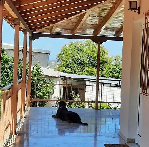 Georgia's Kondostavlos