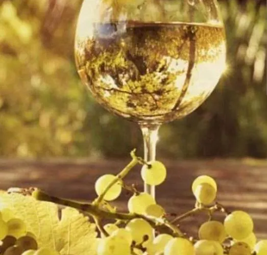 Georgia's * Kondostavlos