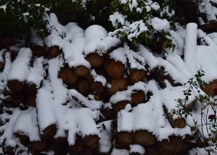 Сasa de vacaciones Georgia's