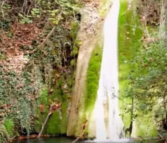 Сasa de vacaciones Georgia's *