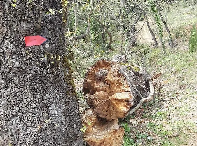 Georgia's Сasa de vacaciones *